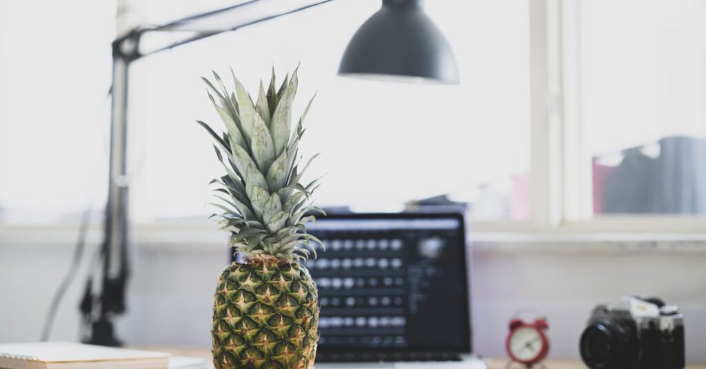 best affiliate networks for small businesses in 2026