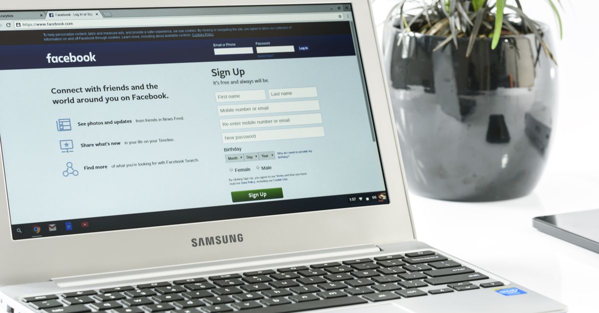 Elementor alternatives: 5 options compared