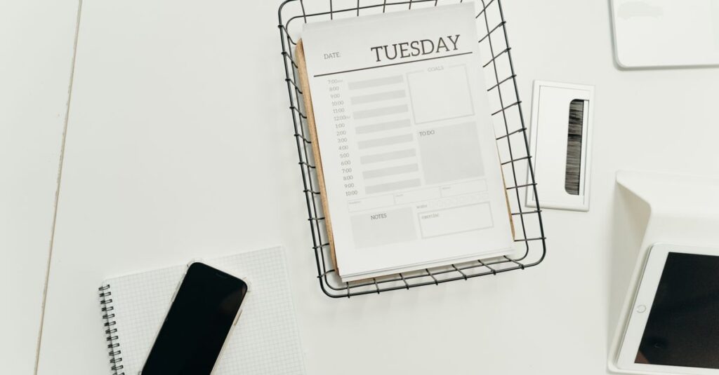 best free email marketing software options for beginners