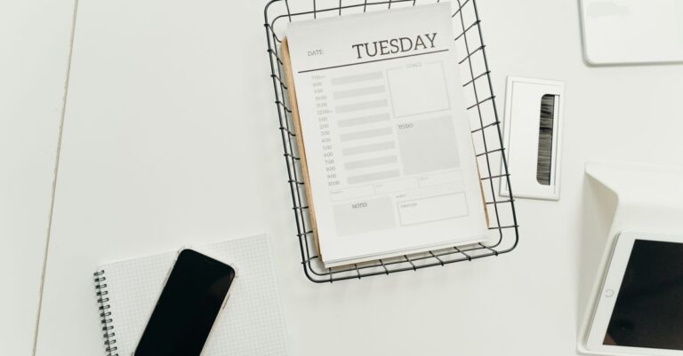 best free email marketing software options for beginners