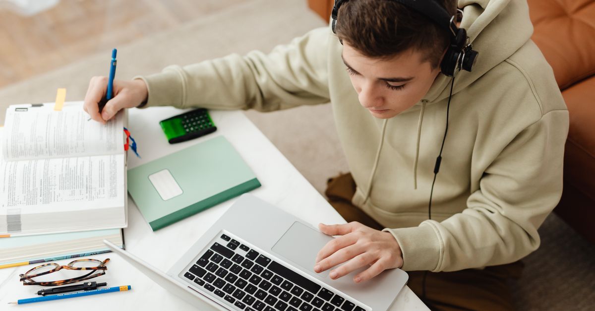 Is LearnWorlds worth it for beginners?